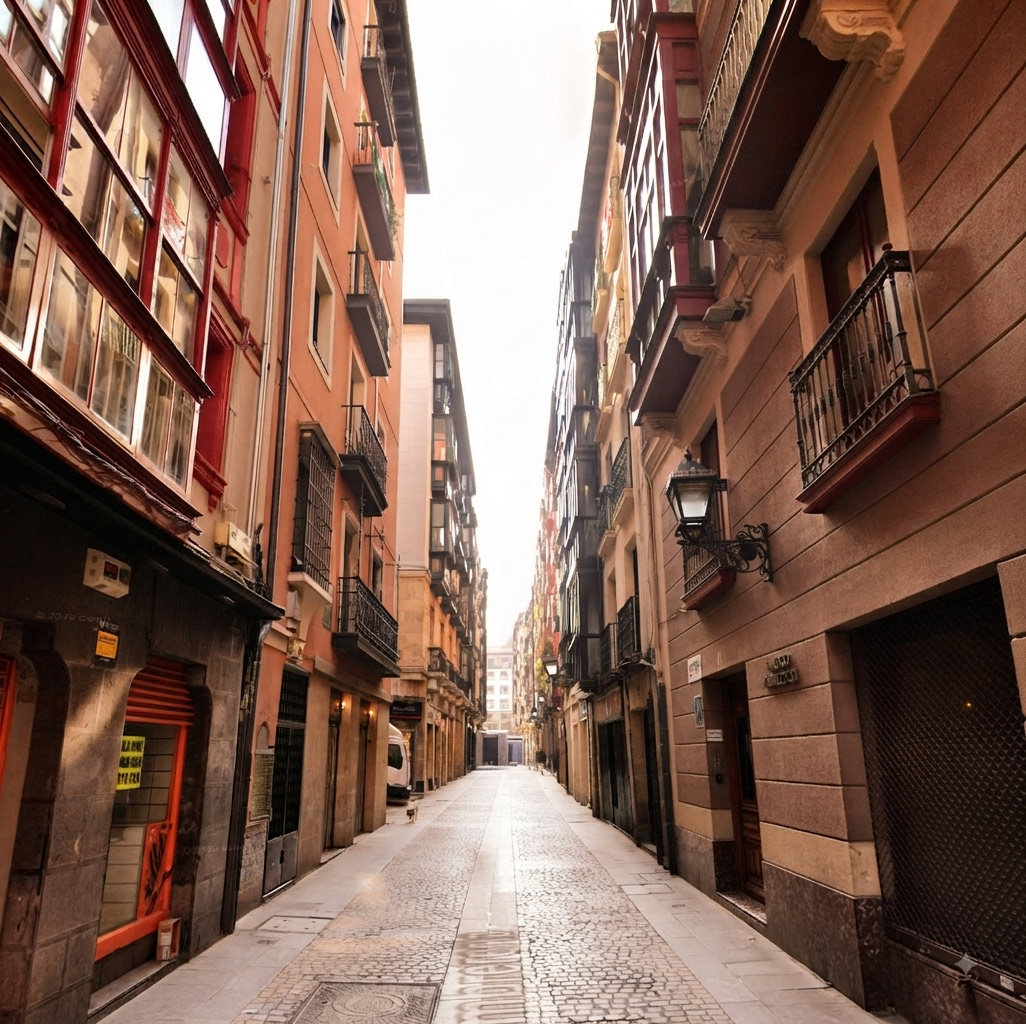 El Albaicín, calles empedradas, las casas blancas con sus patios interiores (cármenes) llenos de vegetación y la presencia imponente de la Alhambra y Sierra Nevada al fondo, integrando el barrio con su entorno histórico.