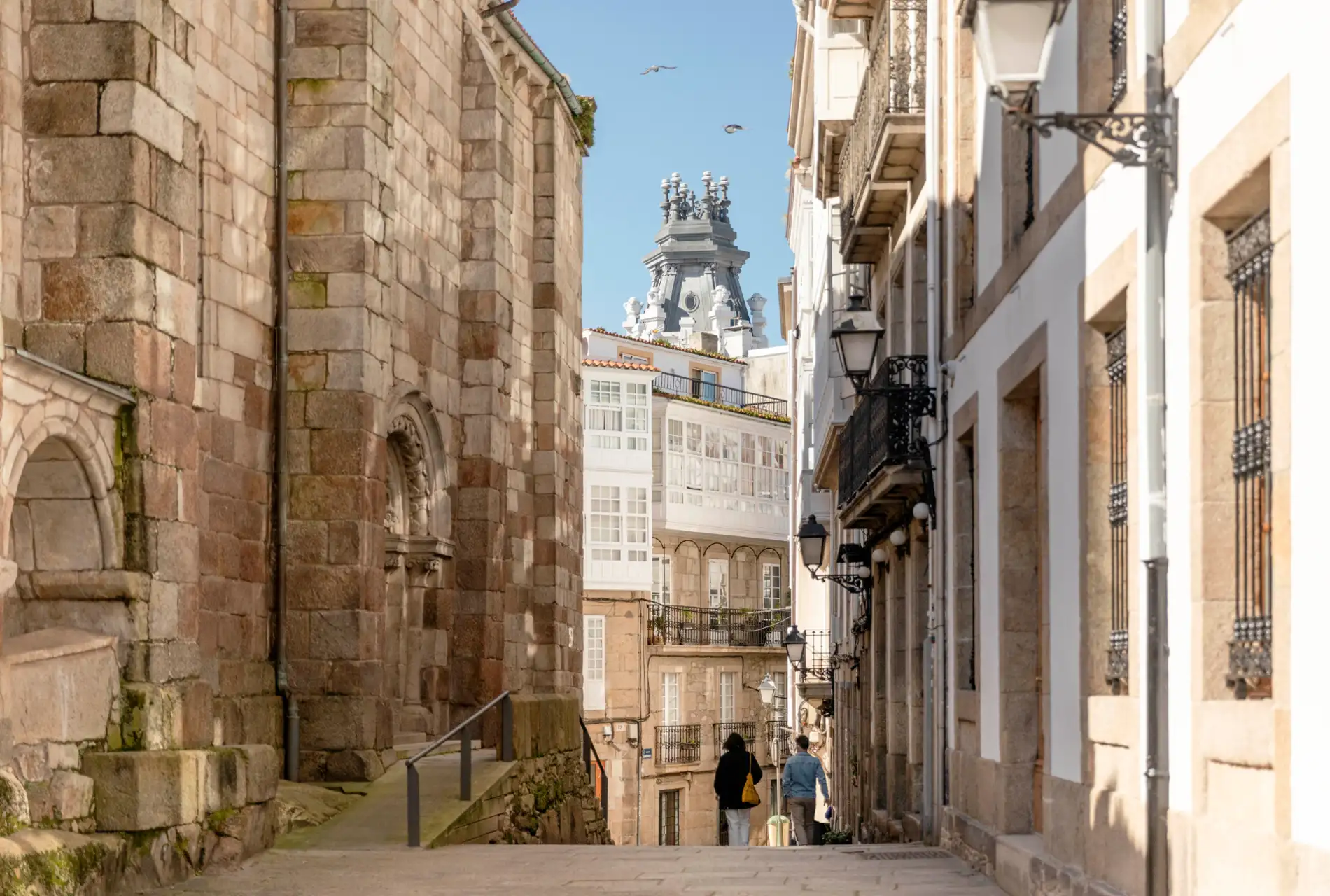 El Albaicín, calles empedradas, las casas blancas con sus patios interiores (cármenes) llenos de vegetación y la presencia imponente de la Alhambra y Sierra Nevada al fondo, integrando el barrio con su entorno histórico.